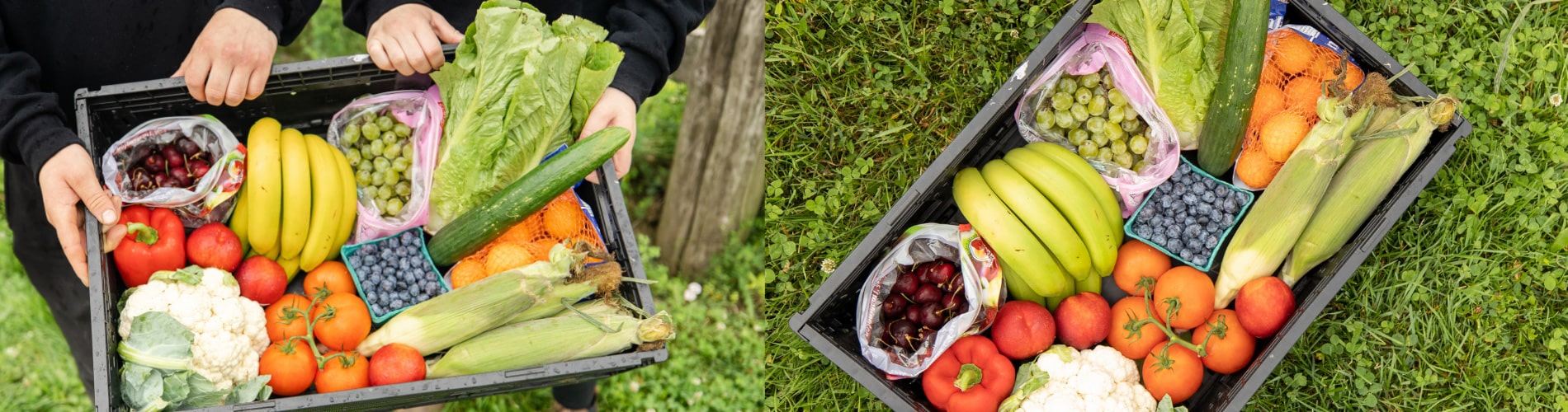 Produce Basket