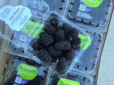 Blackberry Flat