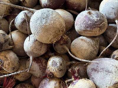 Local Beets