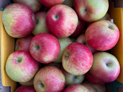 Honeycrisp Apples