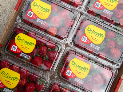 Strawberry Flat