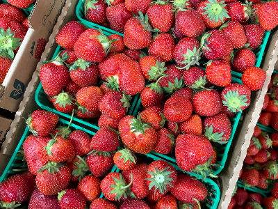 Ontario Strawberry Flat