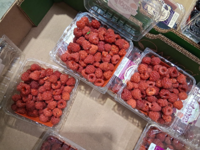 Raspberry Flat