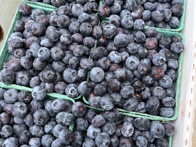 Local Blueberry 1/2 Flat